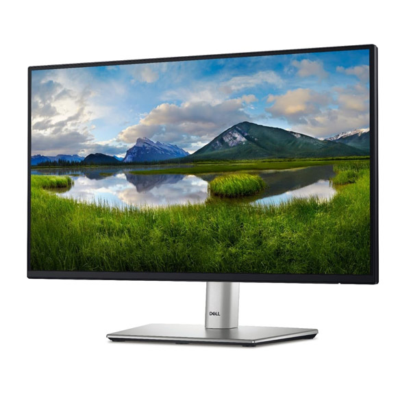 مانیتور 24 اینچی دل مدل Dell Monitor P2422H صفحه نمایش IPS